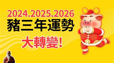 屬豬皮夾顏色|2025年屬豬適合什麼顏色皮夾？選擇指南與建議